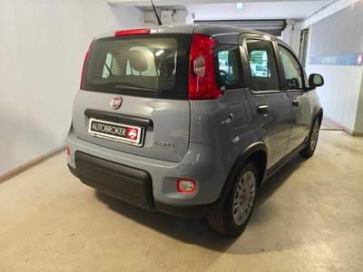 Fiat Panda 1.0 firefly hybrid Pop s&s 70cv (4)