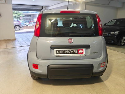 Fiat Panda 1.0 firefly hybrid Pop s&s 70cv (5)