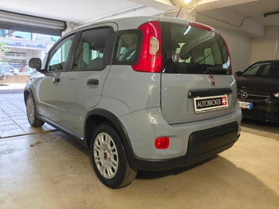 Fiat Panda 1.0 firefly hybrid Pop s&s 70cv (6)