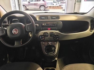 Fiat Panda 1.0 firefly hybrid Pop s&s 70cv (8)