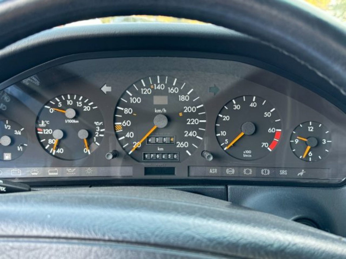 Mercedes-Benz 600 600 SEL cat (14)
