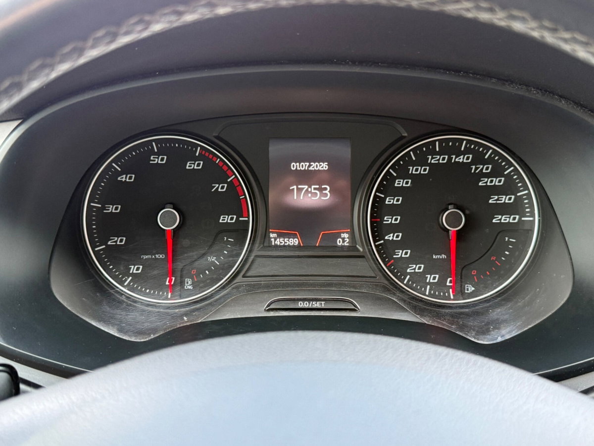 SEAT Leon 1.5 TGI 5p. Style (12)
