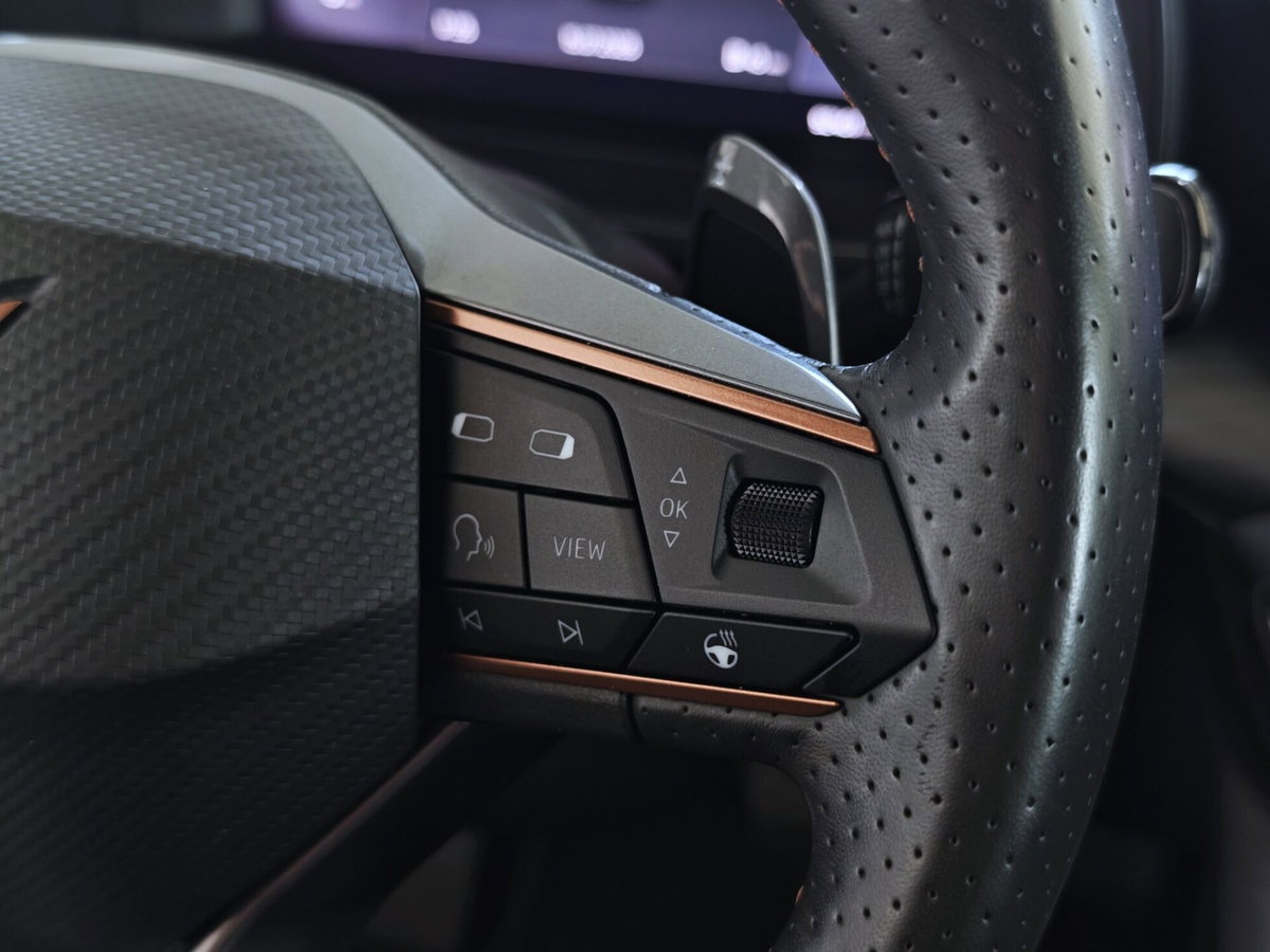 Cupra Formentor Formentor 1.5 TSI (13)