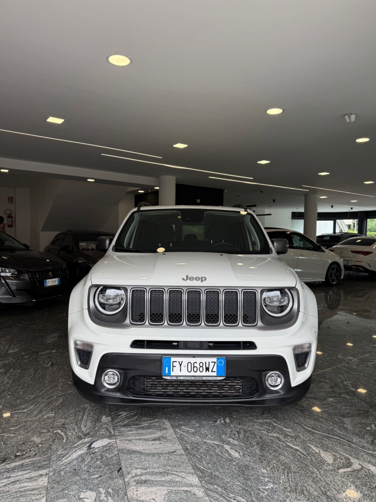 Jeep Renegade 1.6 Mjt 120 CV Limited (2)