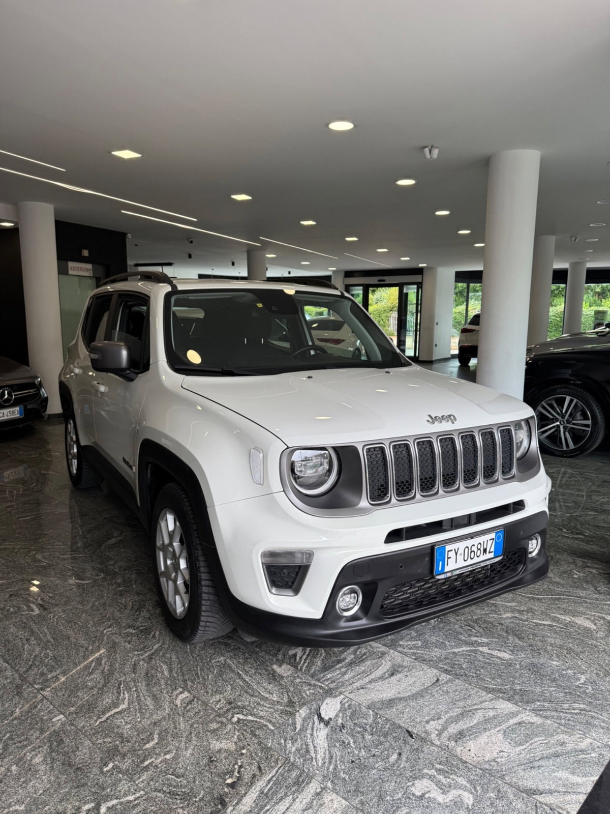 Jeep Renegade 1.6 Mjt 120 CV Limited (3)