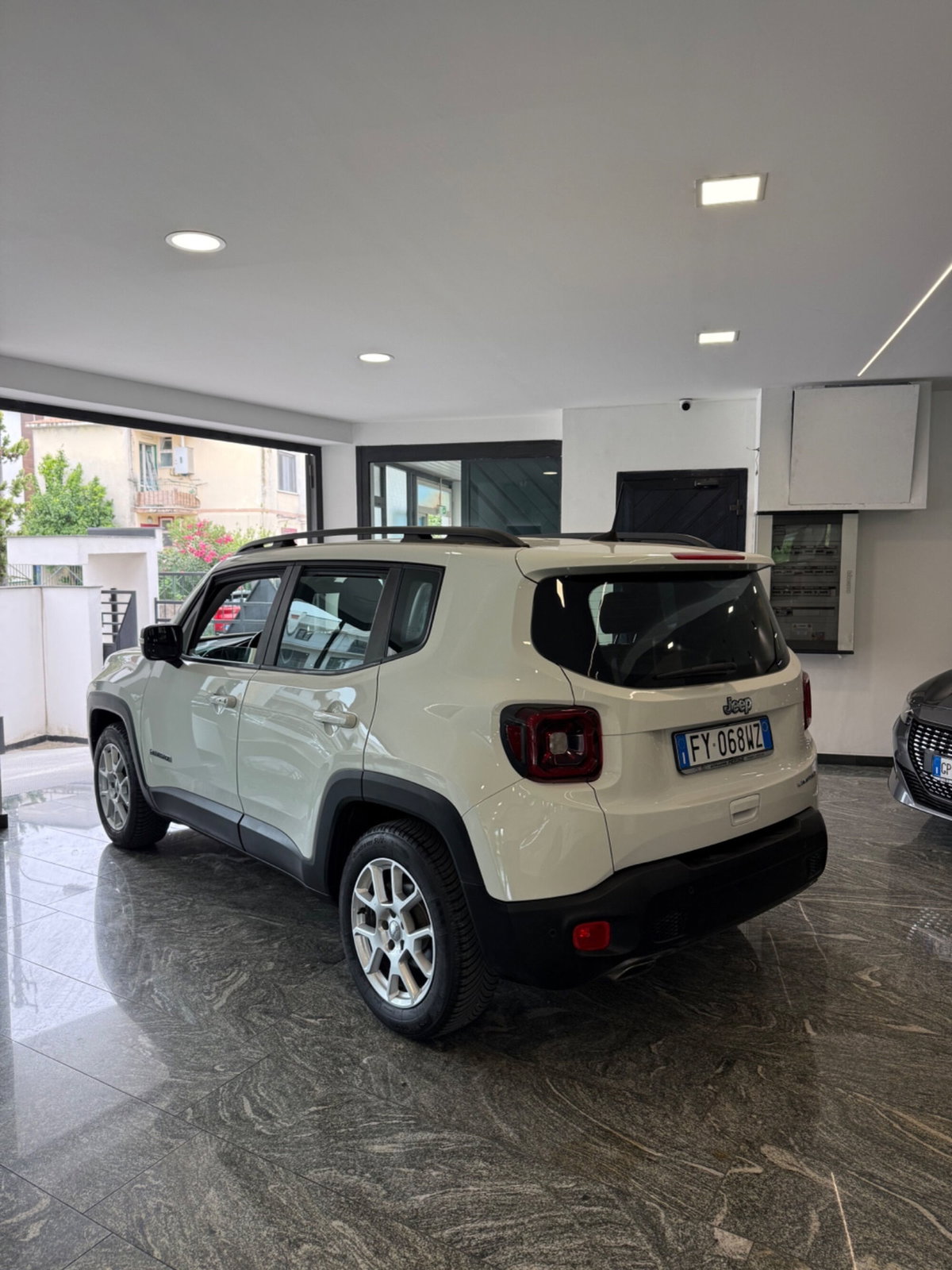 Jeep Renegade 1.6 Mjt 120 CV Limited (5)