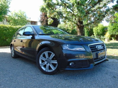 Audi A4 Avant 2.0 TDI 143CV F.AP. Advanced (13)