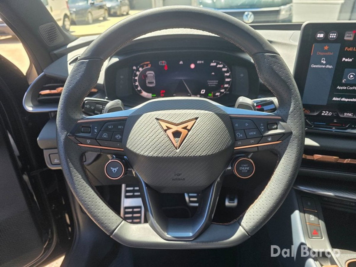 Cupra Terramar 1.5 hybrid 150cv dsg (13)