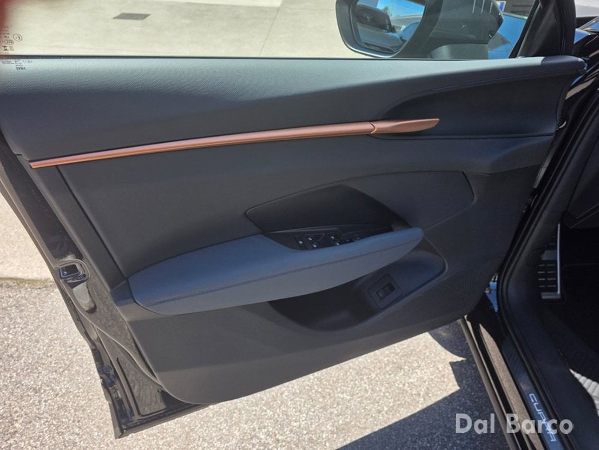 Cupra Terramar 1.5 hybrid 150cv dsg (16)