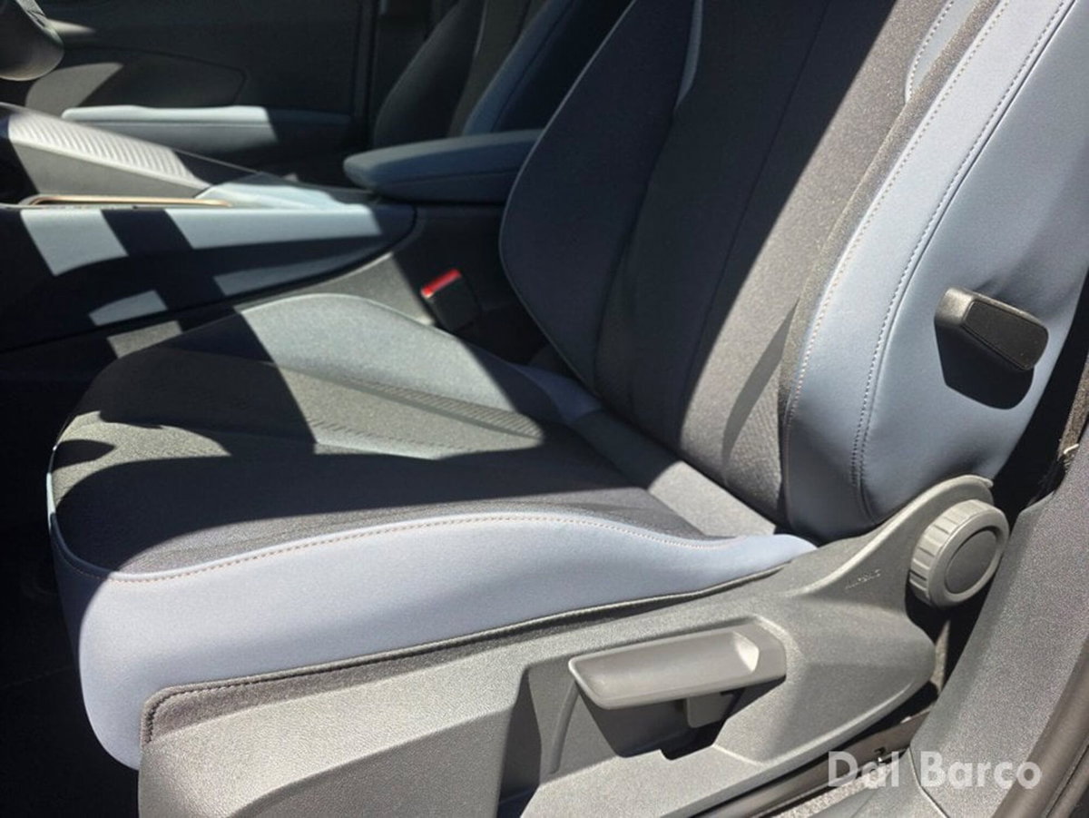 Cupra Terramar 1.5 hybrid 150cv dsg (18)