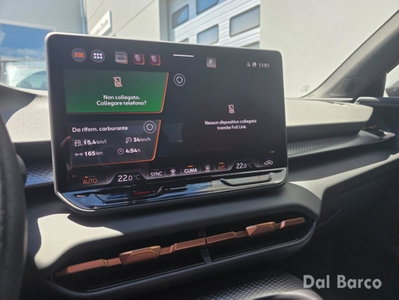 Cupra Terramar 1.5 hybrid 150cv dsg (20)