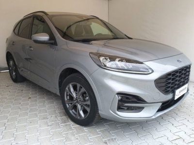 Ford Kuga 2.5 Plug In Hybrid 225 CV CVT 2WD ST-Line (3)