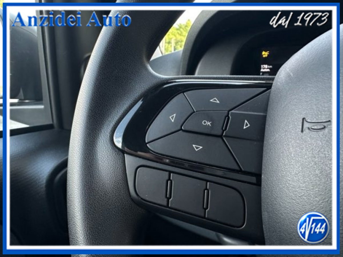 Fiat Panda 1.0 firefly hybrid s&s 70cv (15)