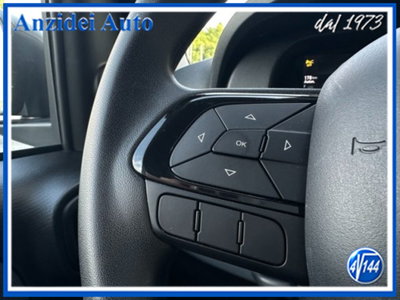 Fiat Panda 1.0 firefly hybrid s&s 70cv 5p.ti (15)