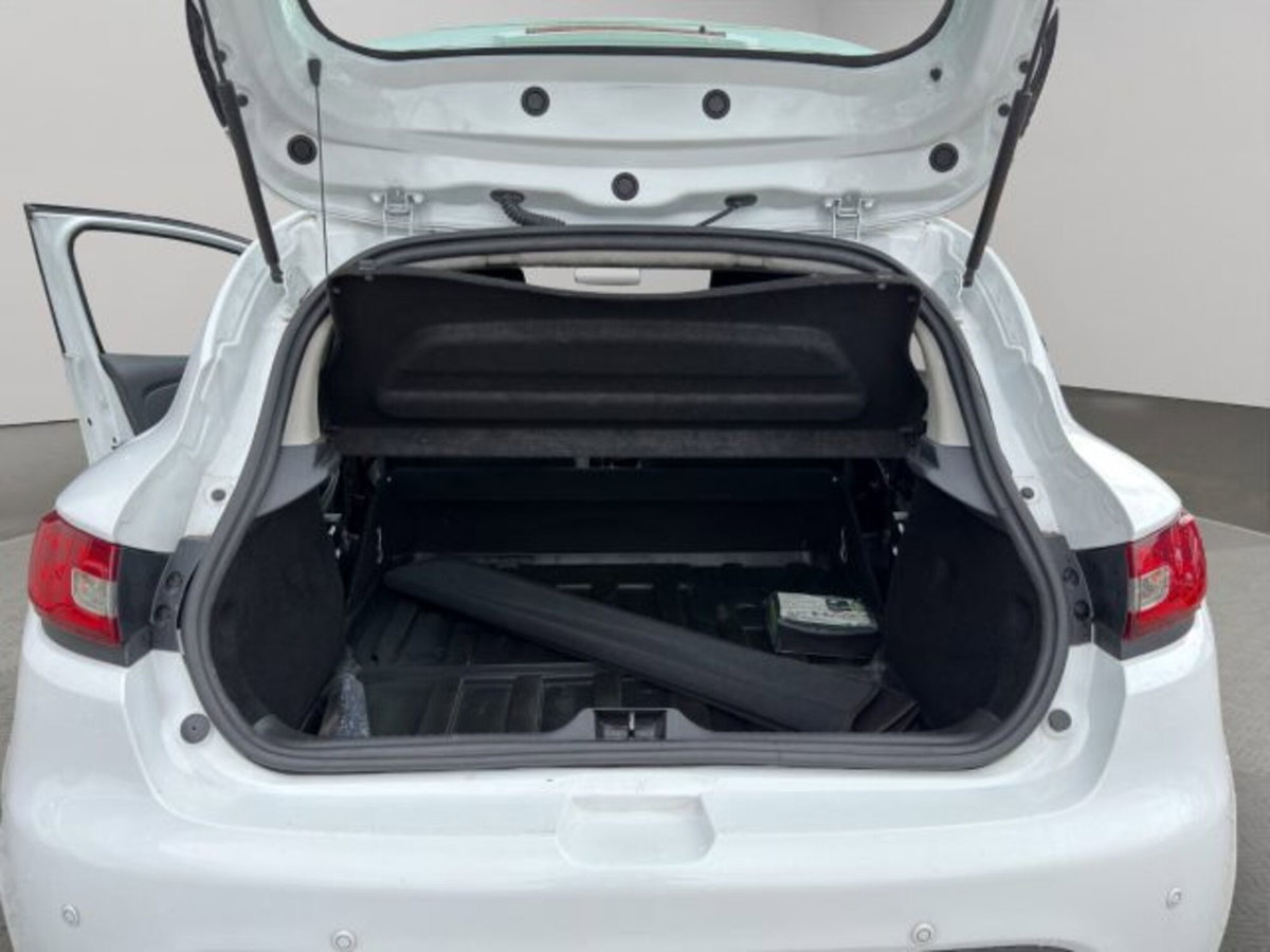 Renault Clio 1.2 3 porte Van Gran Confort (15)