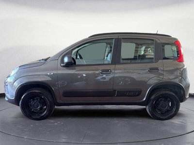 Fiat Panda 0.9 TwinAir Turbo S&S 4x4 Wild (4)