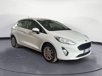 Ford Fiesta 1.5 TDCi 85 CV 3 porte  Business (3)