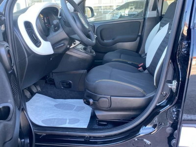 Fiat Panda Cross Cross 1.0 FireFly S&S Hybrid (17)
