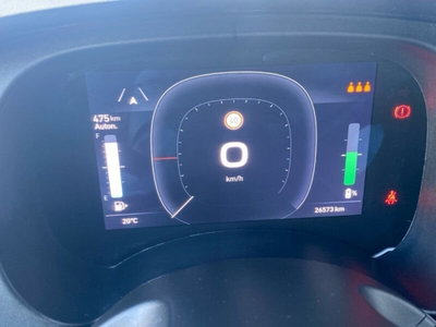 Fiat Panda Cross Cross 1.0 FireFly S&S Hybrid (20)