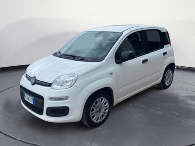 Fiat Panda 1.2 EasyPower usata
