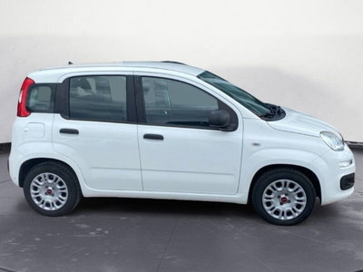 Fiat Panda 1.2 EasyPower (4)