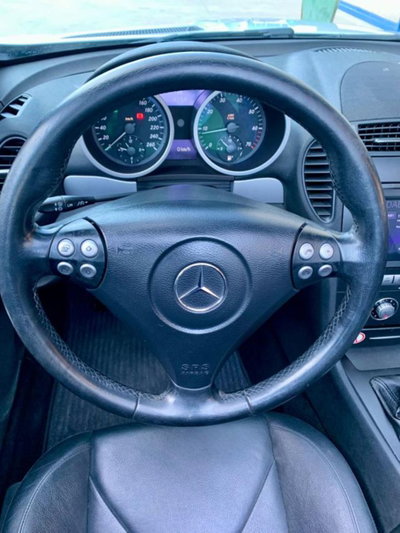 Mercedes-Benz SLK 200 Kompressor cat (13)