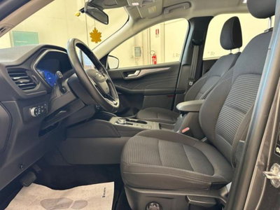 Ford Kuga 1.5 EcoBlue 120 CV 2WD Titanium (17)