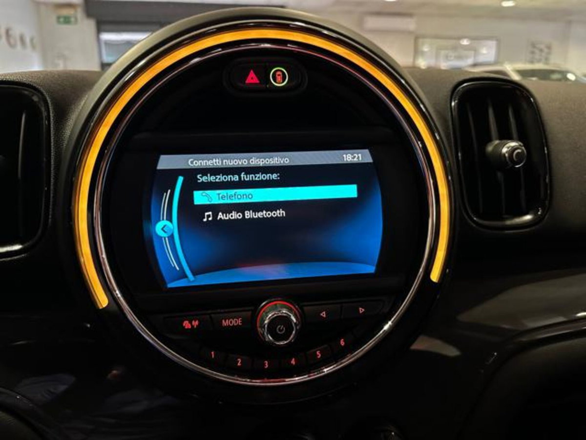 MINI Mini Countryman 2.0 Cooper D Business Countryman ALL4 Automatica (17)