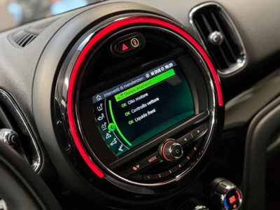 MINI Mini Countryman 2.0 Cooper D Countryman ALL4 (16)
