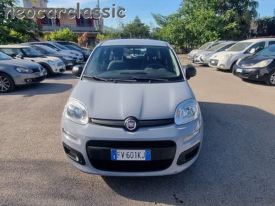 Fiat Panda 1.2 Easy usata