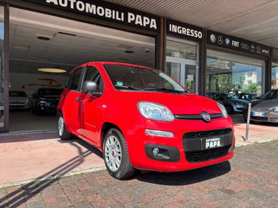 Fiat Panda 1.2 Easy usata