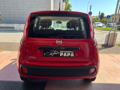 Fiat Panda 1.2 Easy (4)