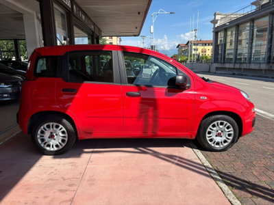 Fiat Panda 1.2 Easy (5)