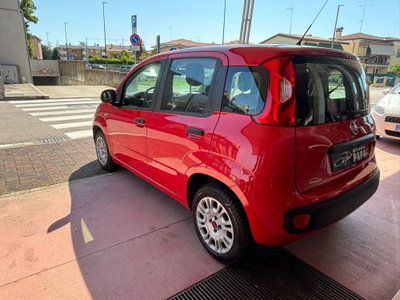 Fiat Panda 1.2 Easy (7)
