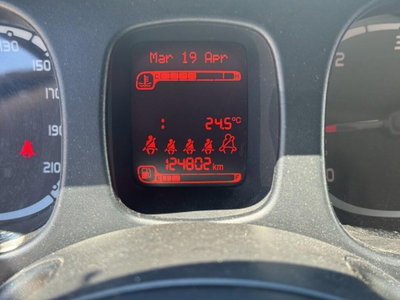 Fiat Panda 1.3 MJT 95 CV S&S 4x4 (9)