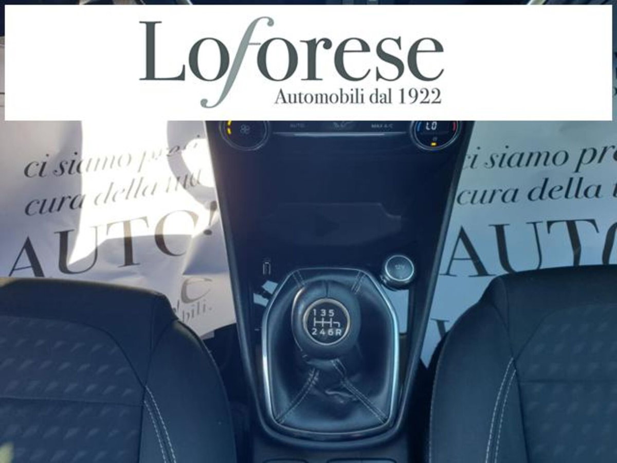 Ford Fiesta 1.5 TDCi 75CV 5 porte Titanium (10)