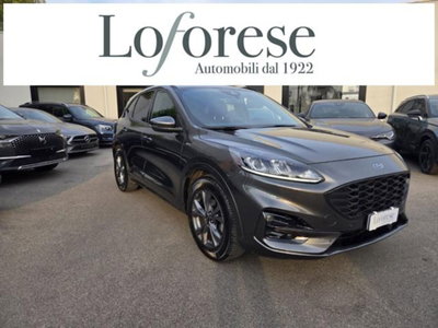 Ford Kuga 1.5 EcoBlue 120 CV 2WD ST-Line usata