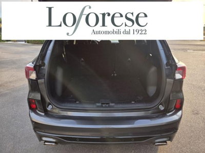 Ford Kuga 1.5 EcoBlue 120 CV 2WD ST-Line (13)