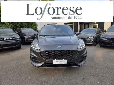 Ford Kuga 1.5 EcoBlue 120 CV 2WD ST-Line (2)