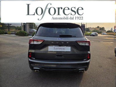 Ford Kuga 1.5 EcoBlue 120 CV 2WD ST-Line (3)