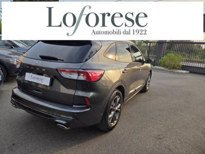 Ford Kuga 1.5 EcoBlue 120 CV 2WD ST-Line (4)
