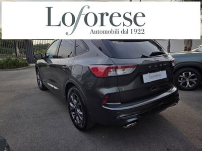 Ford Kuga 1.5 EcoBlue 120 CV 2WD ST-Line (5)