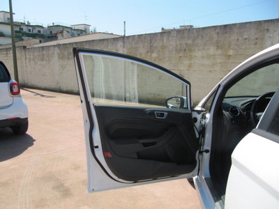 Ford Fiesta 1.5 TDCi 75CV 5 porte ST-Line (15)