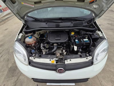 Fiat Panda 1.0 firefly hybrid s&s 70cv 5p.ti (18)
