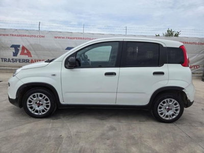 Fiat Panda 1.0 firefly hybrid s&s 70cv 5p.ti (2)