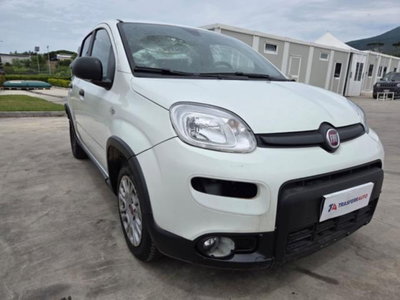 Fiat Panda 1.0 firefly hybrid s&s 70cv 5p.ti (6)
