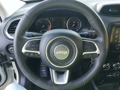 Jeep Renegade 1.6 E-TorQ EVO Sport (8)