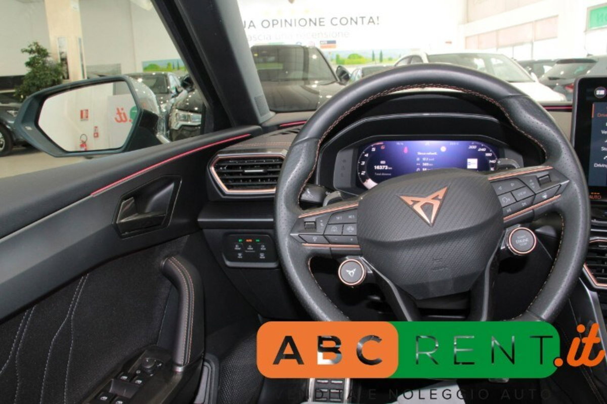 Cupra Leon Station Wagon Leon Sportstourer 2.0 tdi 4drive 150cv dsg (13)