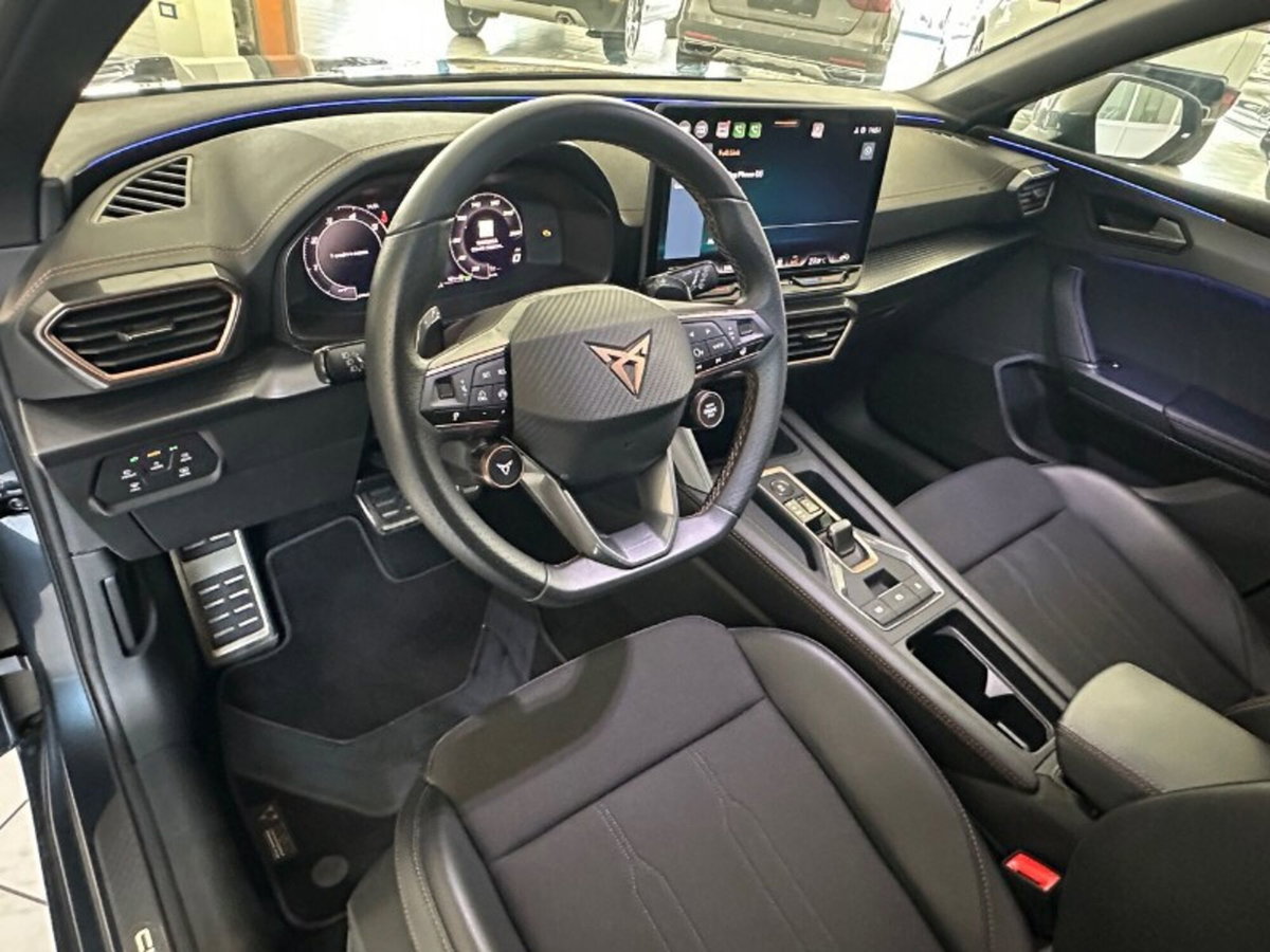 Cupra Leon Leon 2.0 tdi 150cv dsg (10)