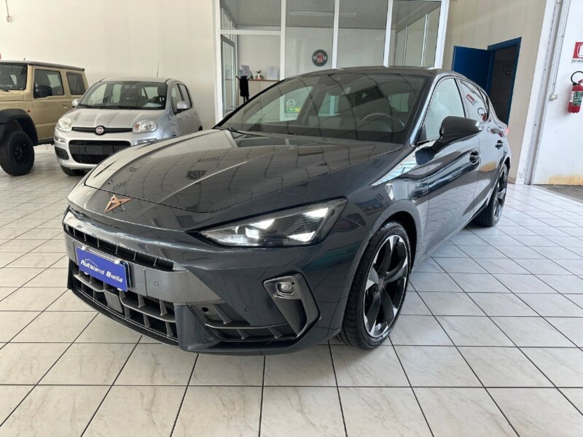 Cupra Leon Leon 2.0 tdi 150cv dsg (2)